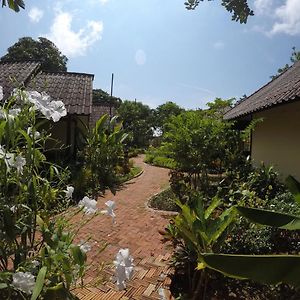 OP Bungalow